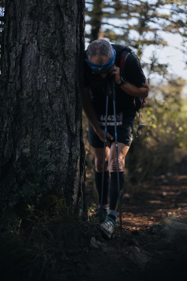 Festival des Templiers 2024