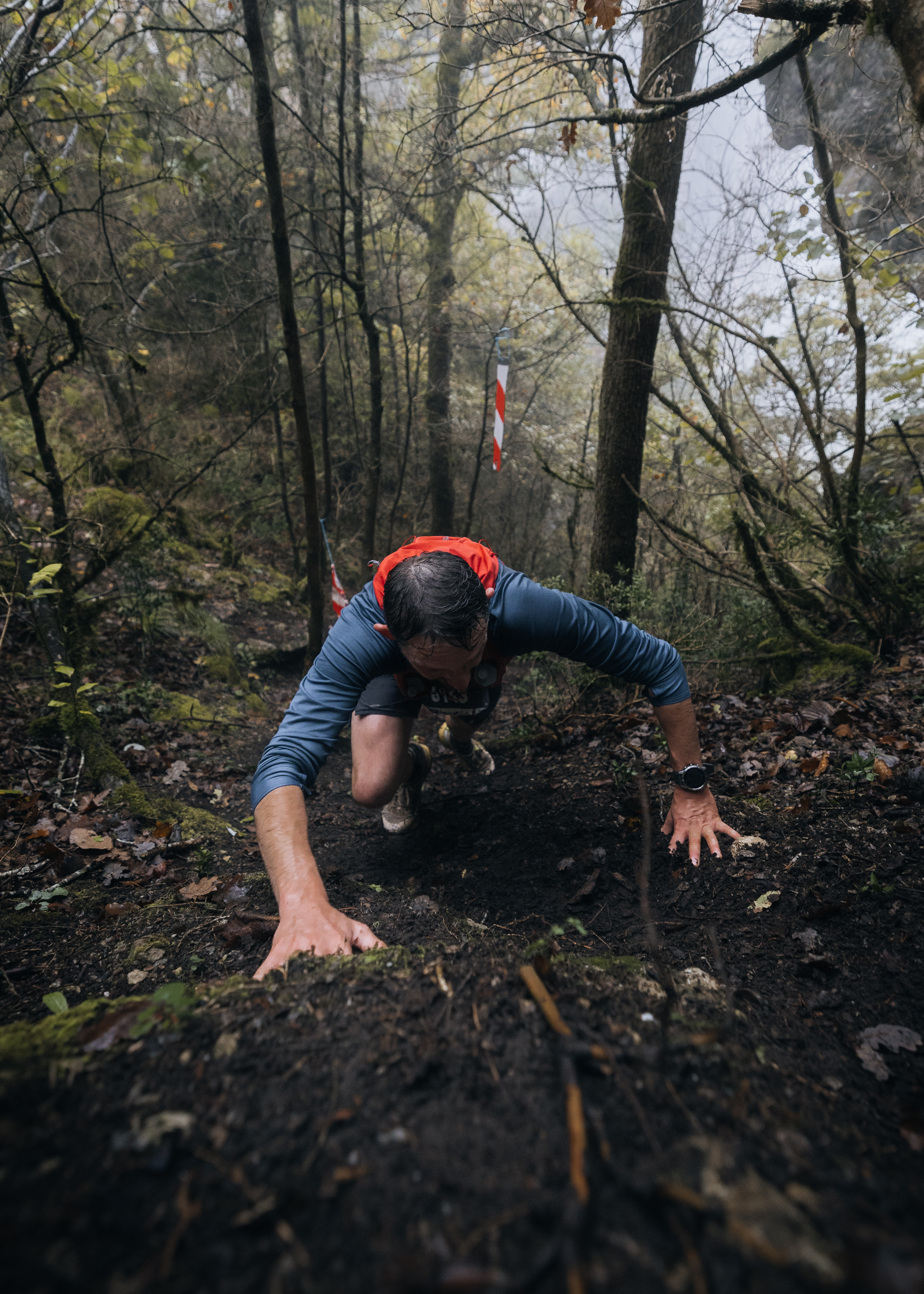 Festival des Templiers 2024