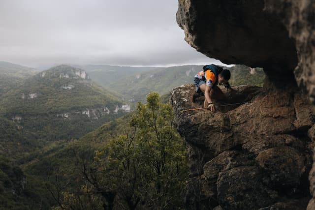 Festival des Templiers 2024