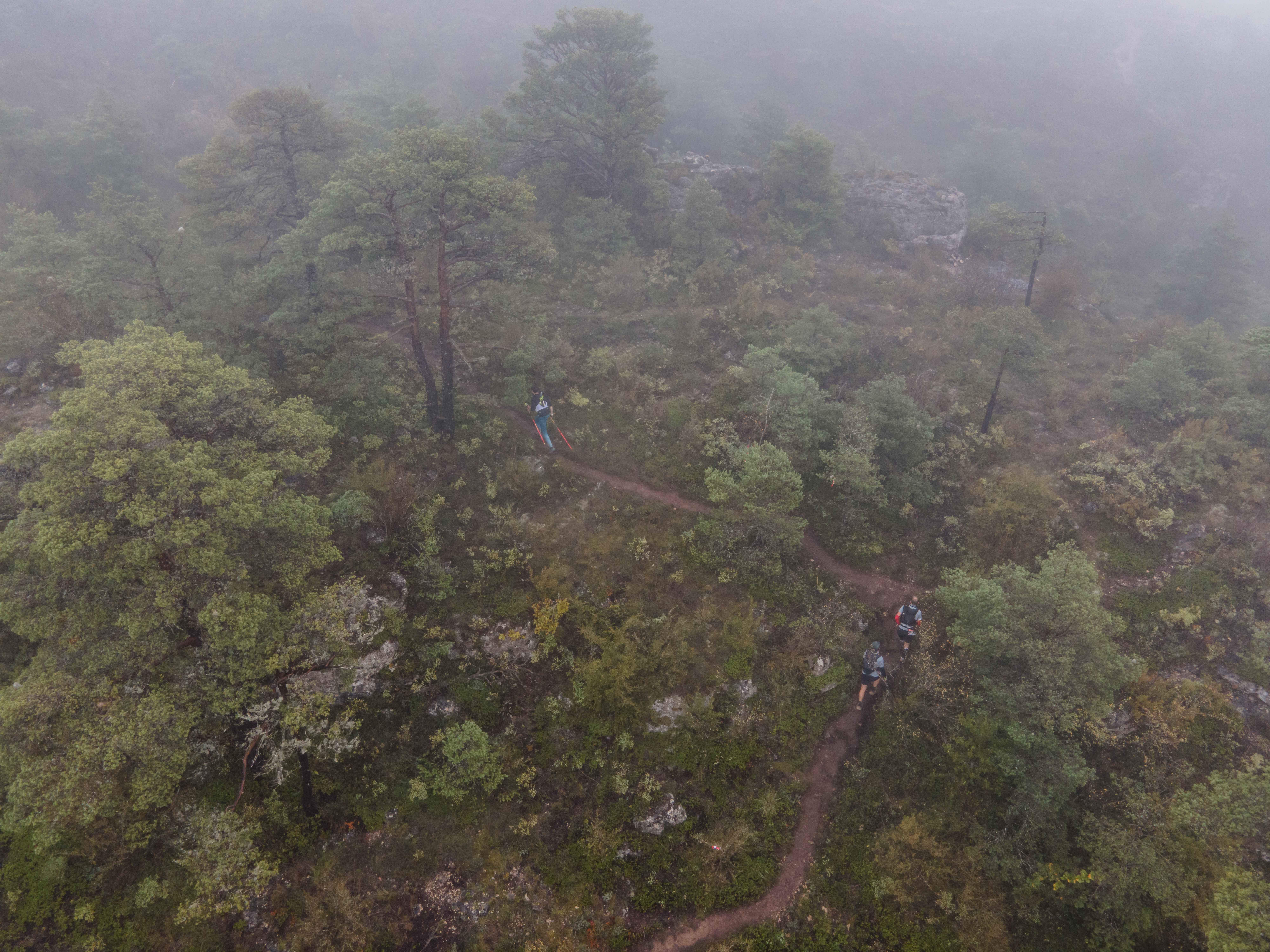 Festival des Templiers 2024