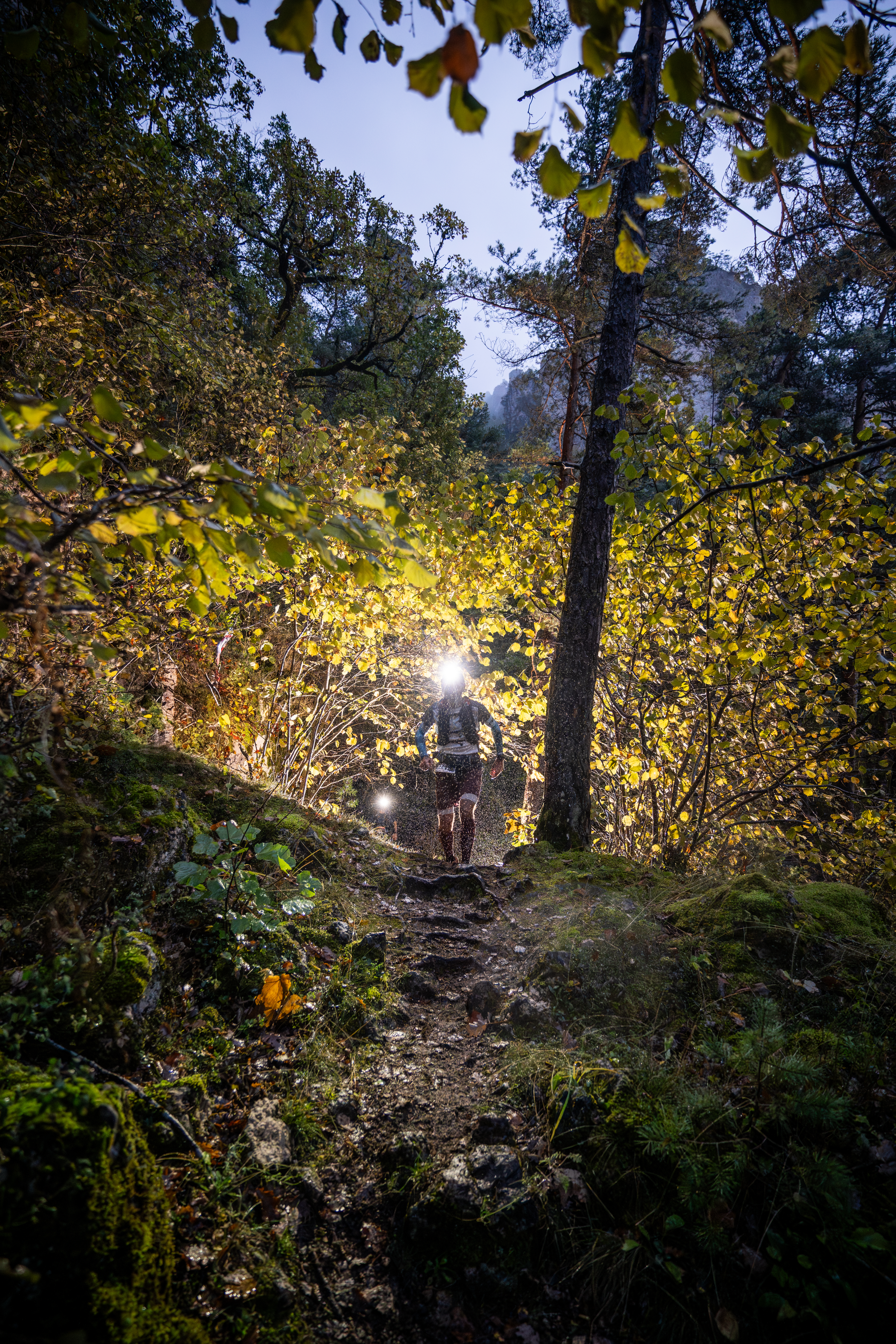 Festival des Templiers 2024