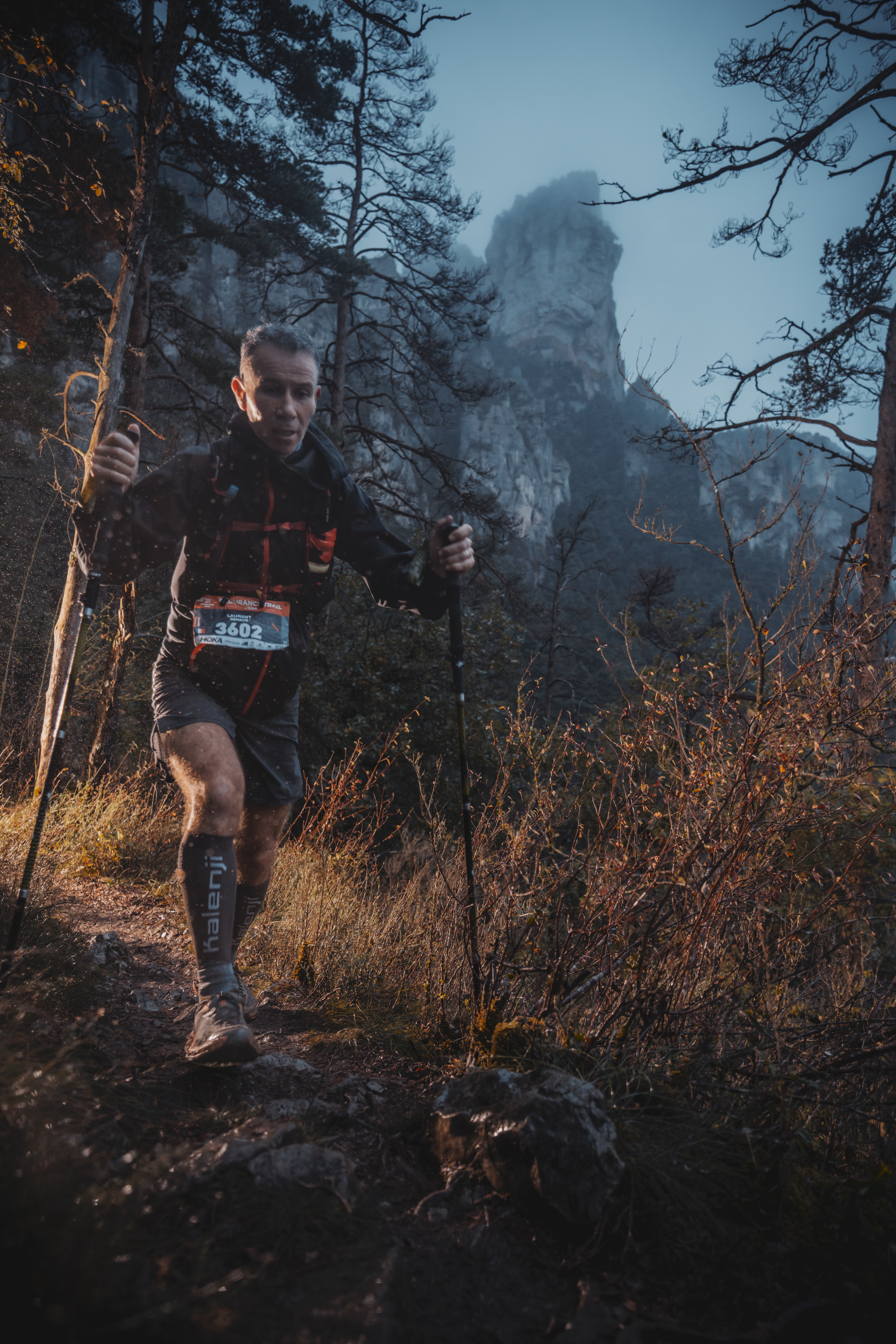 Festival des Templiers 2024