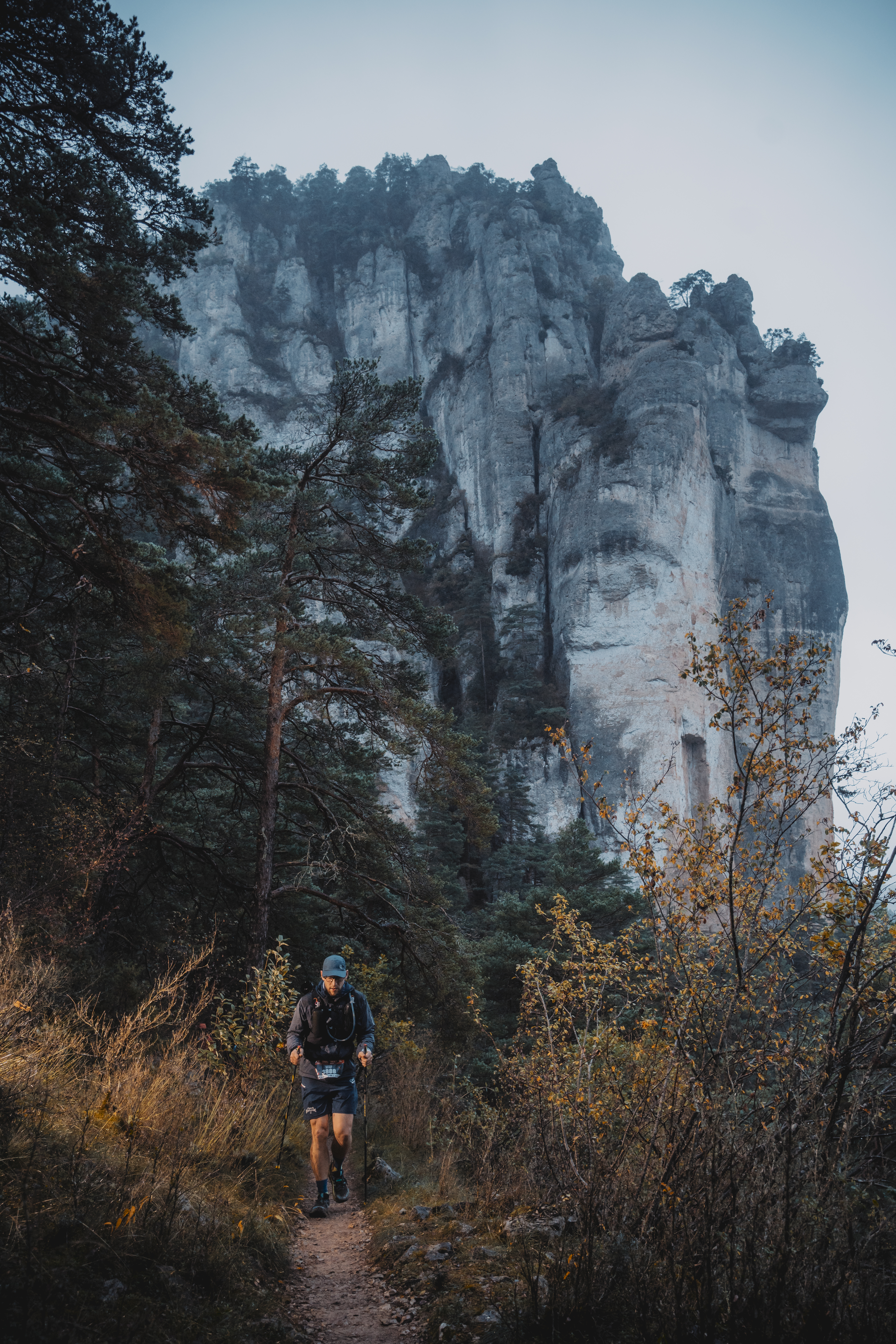 Festival des Templiers 2024
