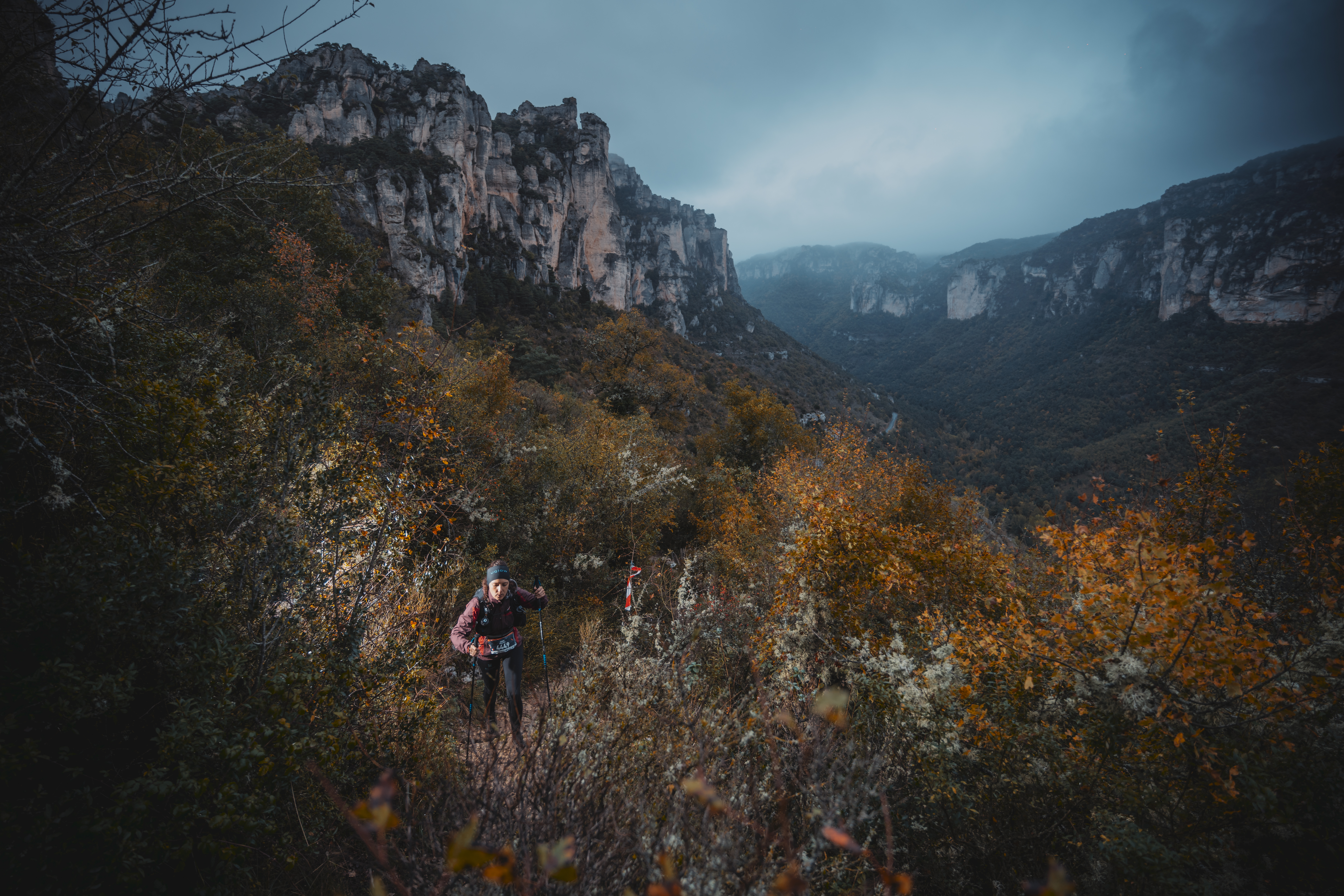 Festival des Templiers 2024