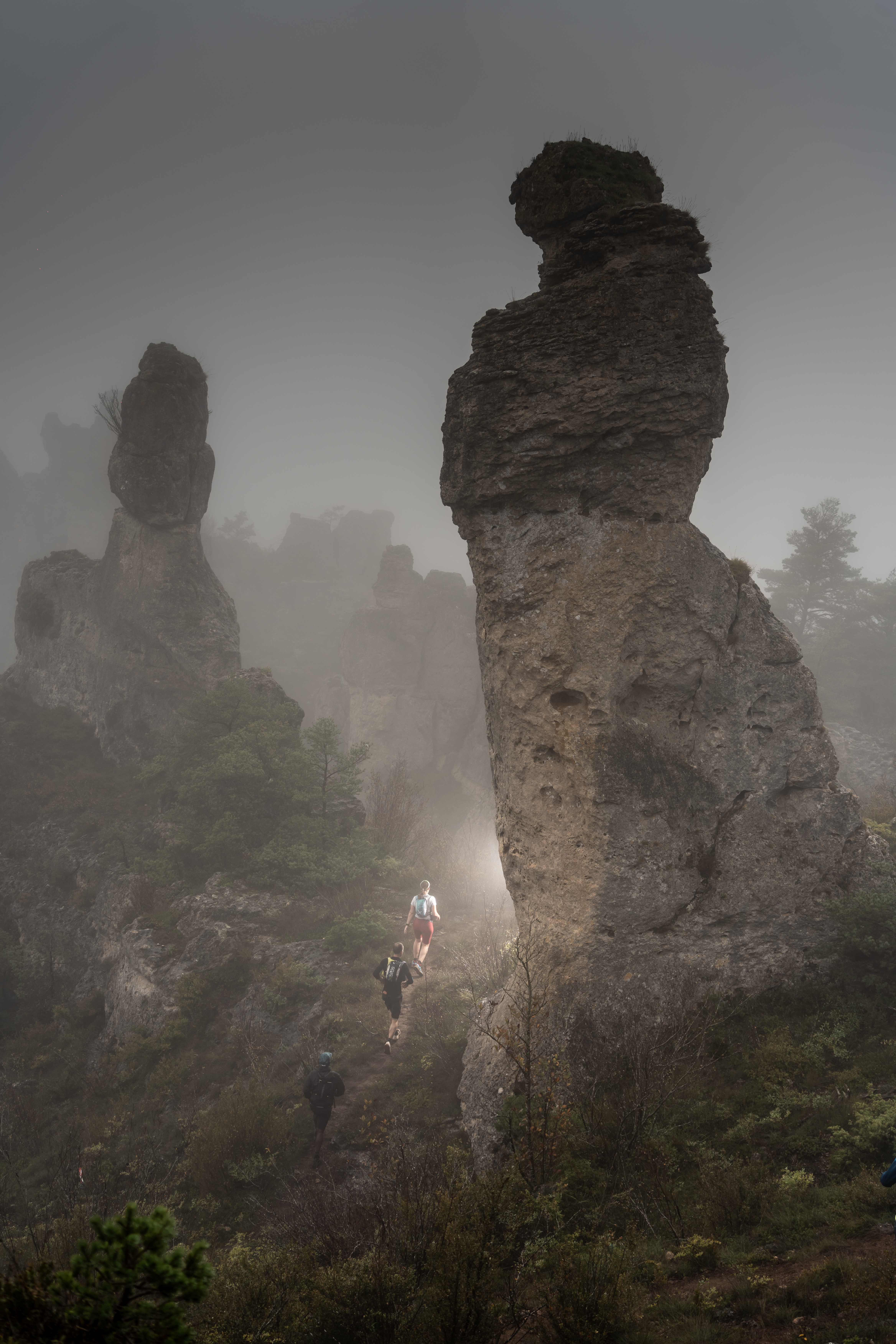 Festival des Templiers 2024
