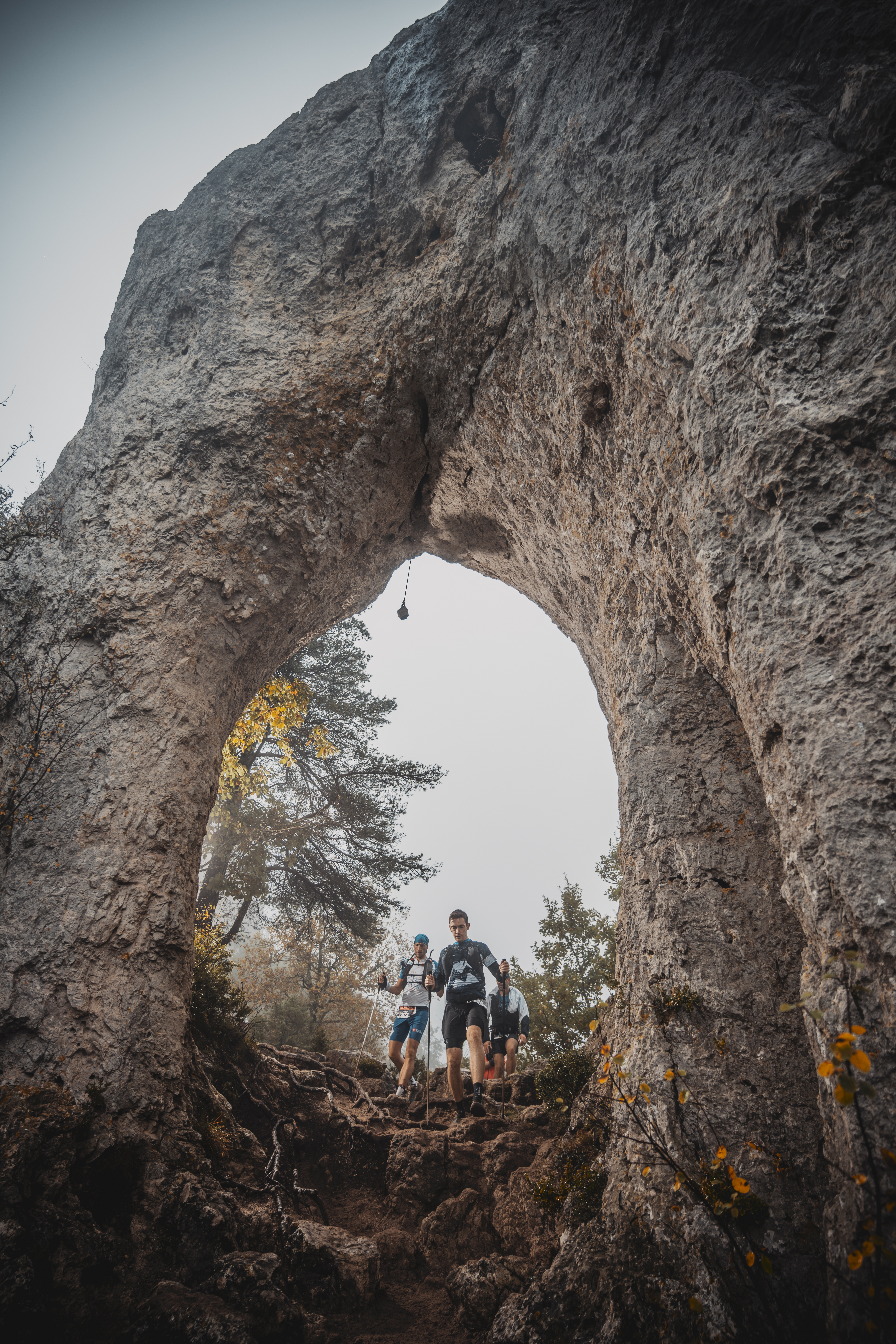 Festival des Templiers 2024