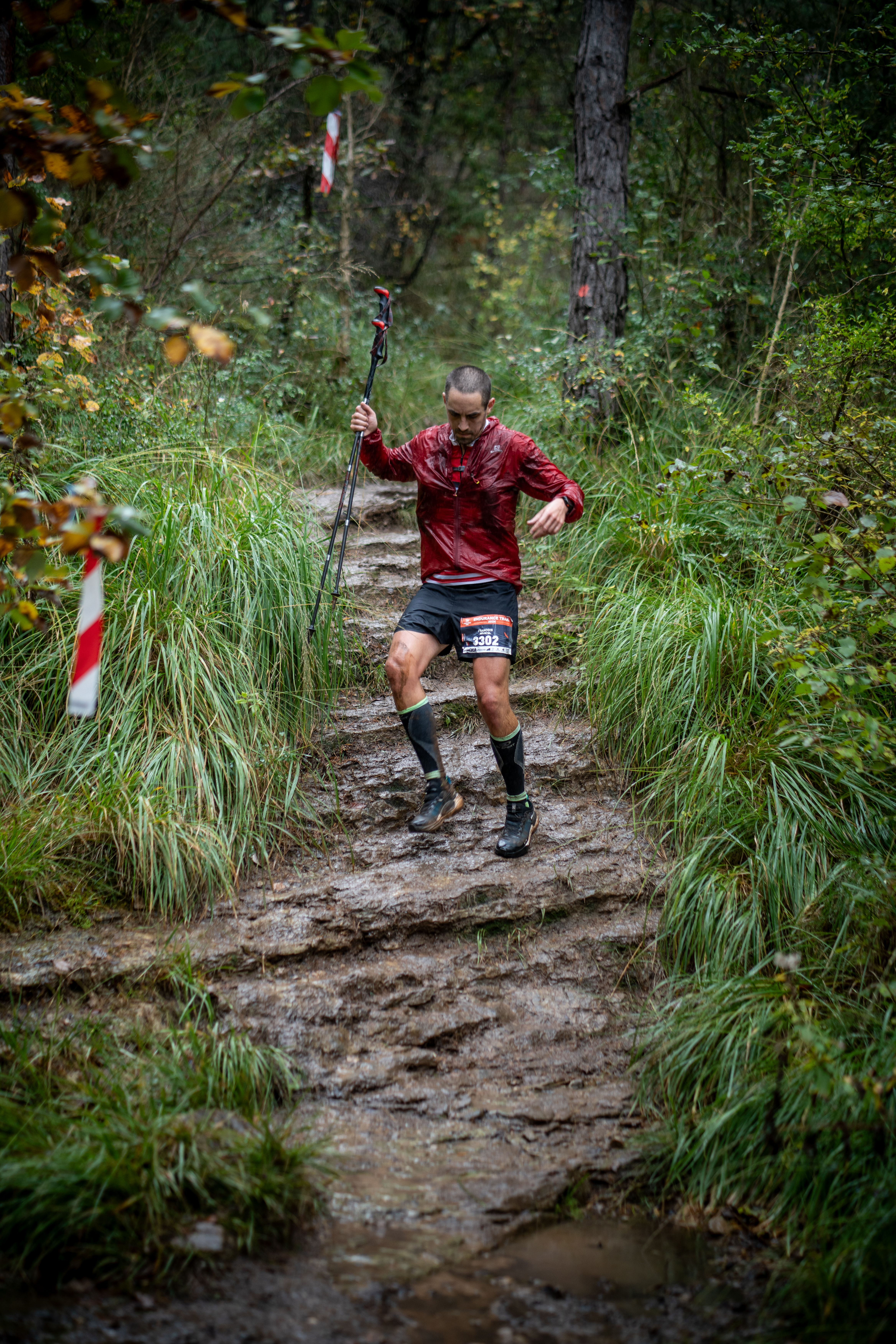 Festival des Templiers 2024