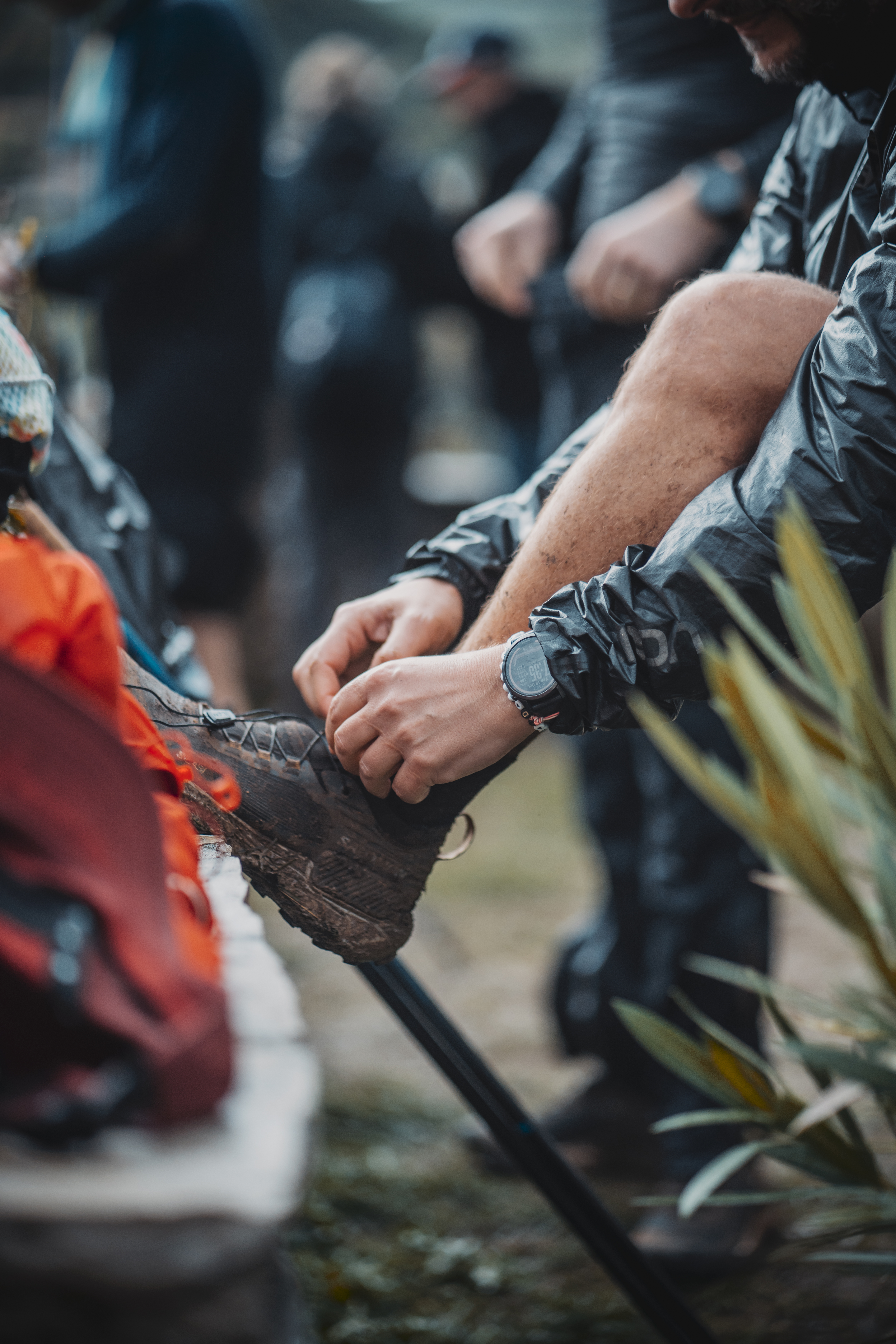 Festival des Templiers 2024
