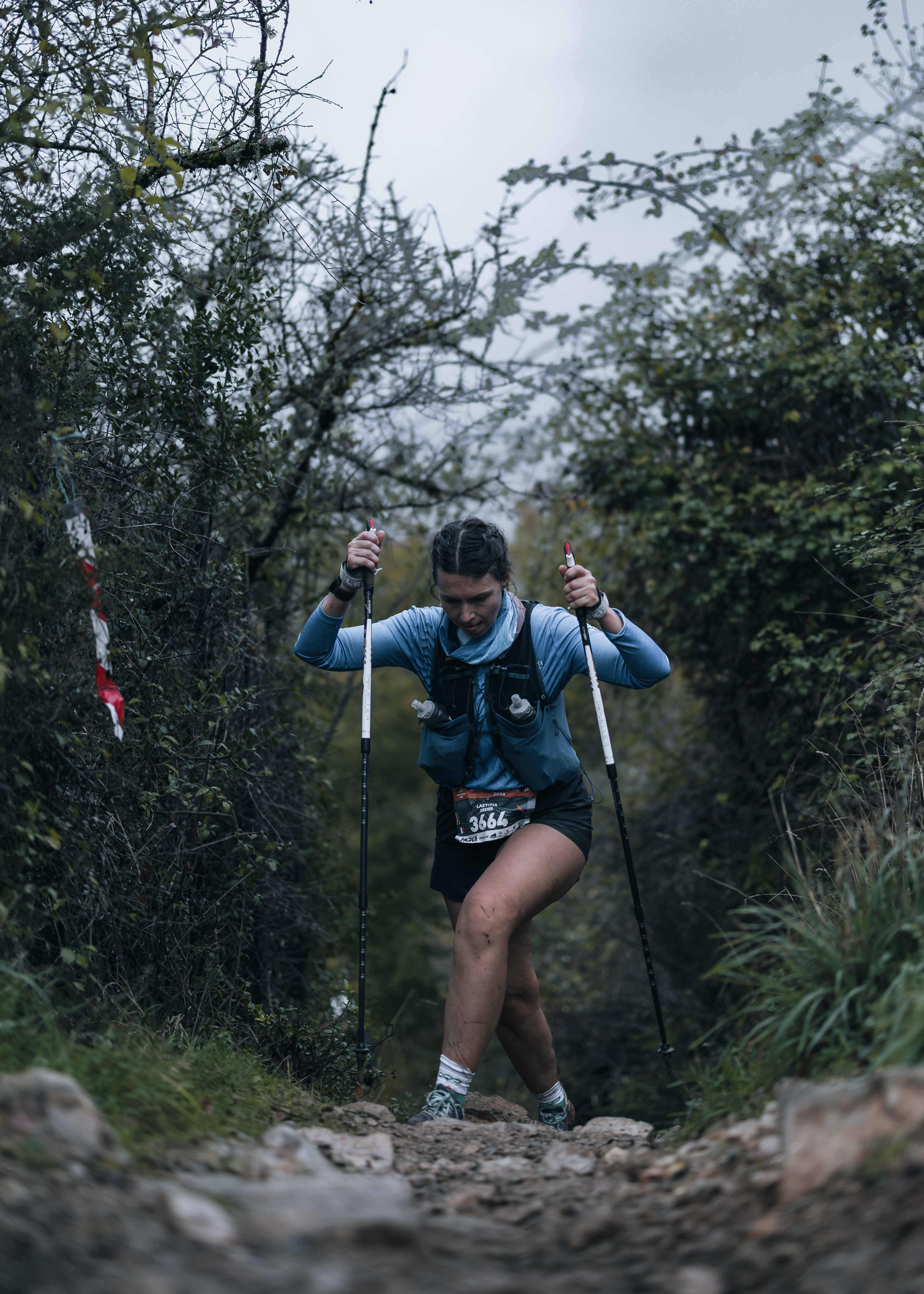 Festival des Templiers 2024
