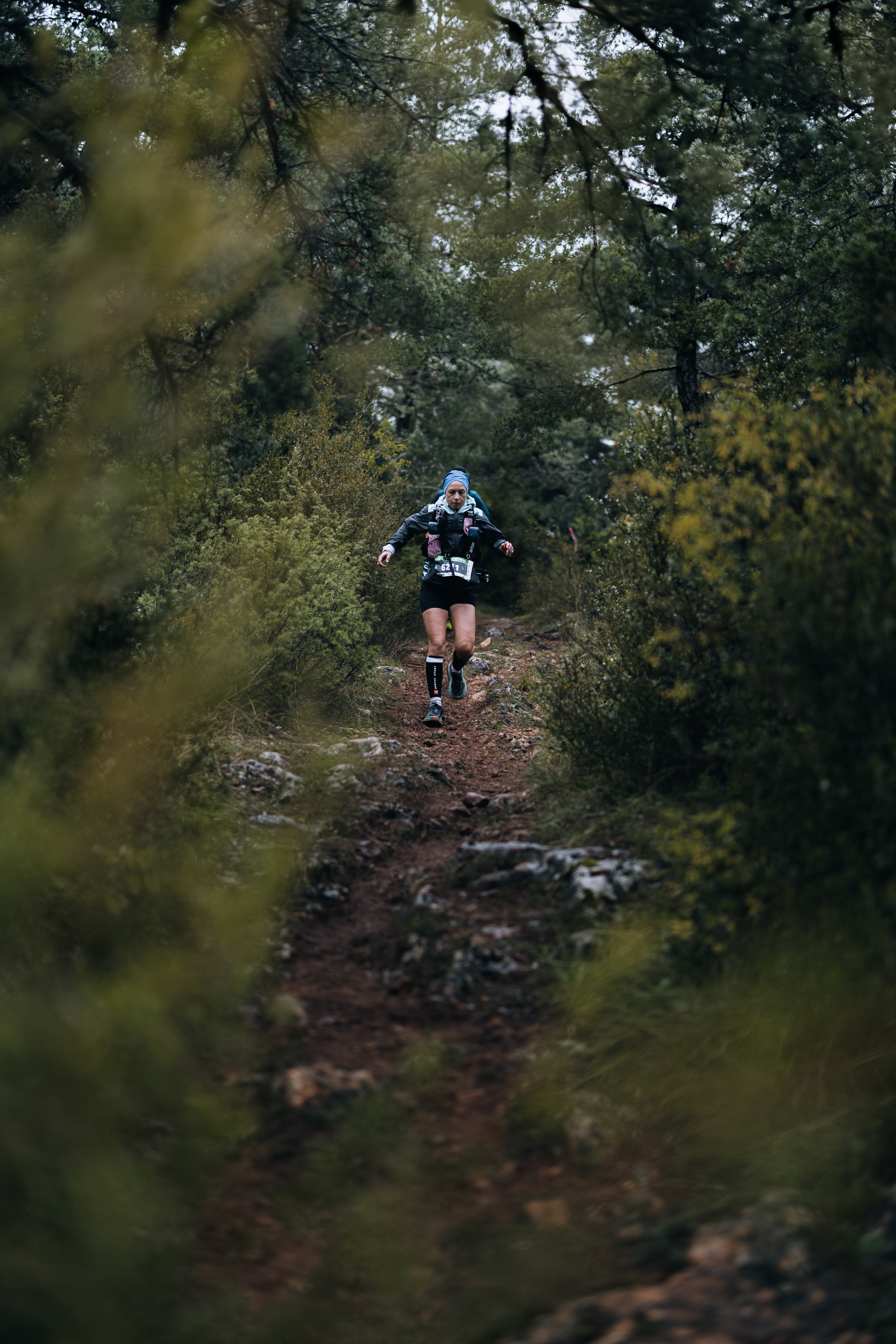 Festival des Templiers 2024