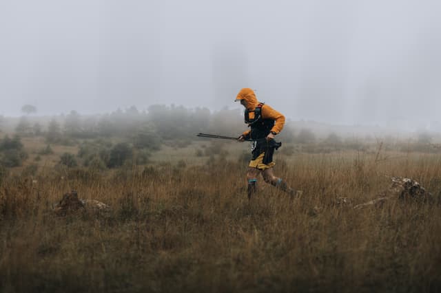 Festival des Templiers 2024