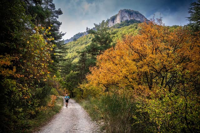 Festival des Templiers 2025