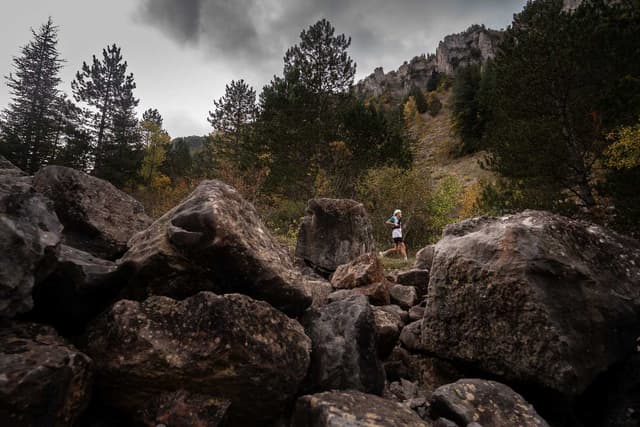 Festival des Templiers 2025
