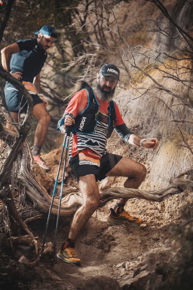 Festival des Templiers 2025