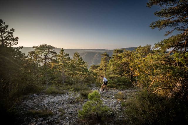 Festival des Templiers 2025