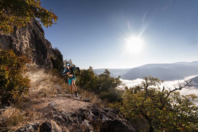 Festival des Templiers 2025