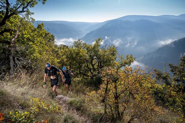 Festival des Templiers 2025