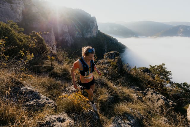 Festival des Templiers 2025