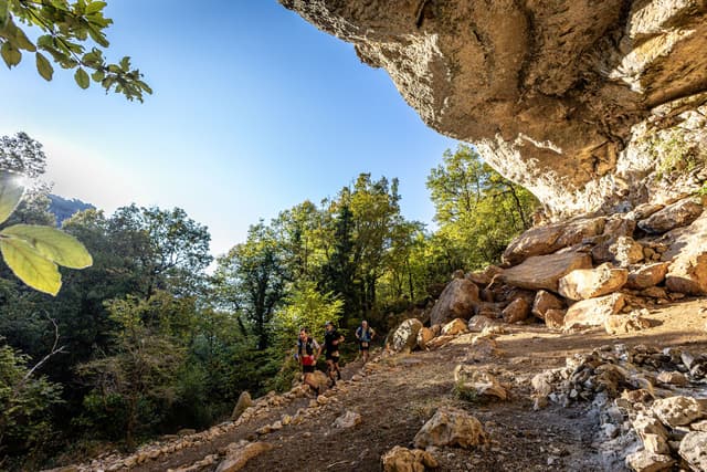 Festival des Templiers 2025