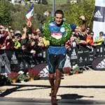 Festival des Templiers 2014