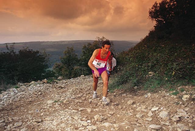 Festival des Templiers 1995
