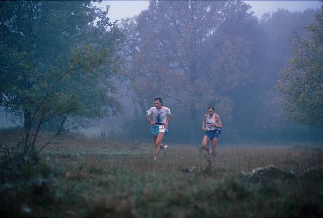 Festival des Templiers 1995