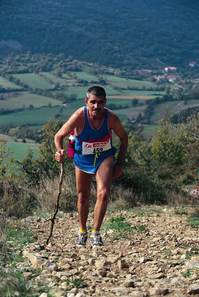 Festival des Templiers 1995