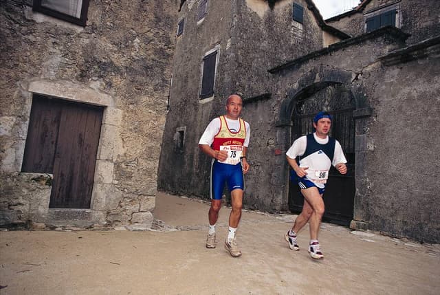 Festival des Templiers 1995