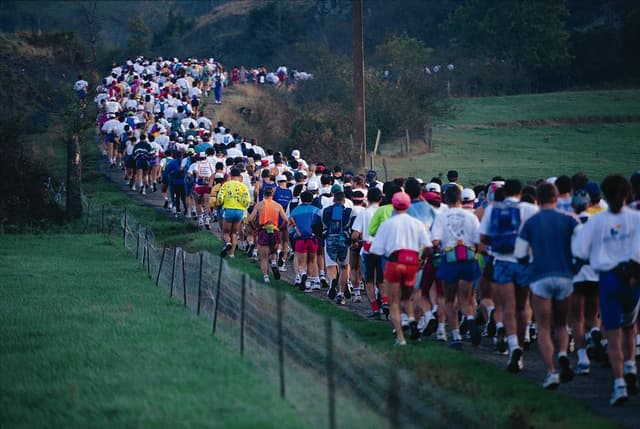 Festival des Templiers 1995