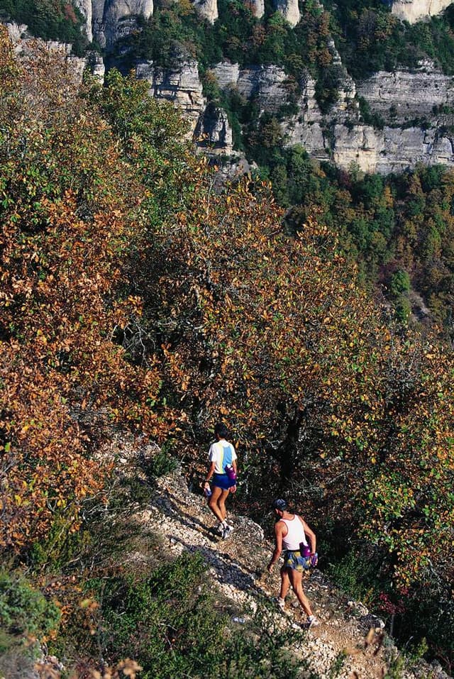 Festival des Templiers 1996