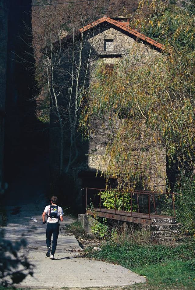 Festival des Templiers 1996