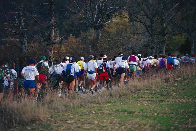 Festival des Templiers 1996