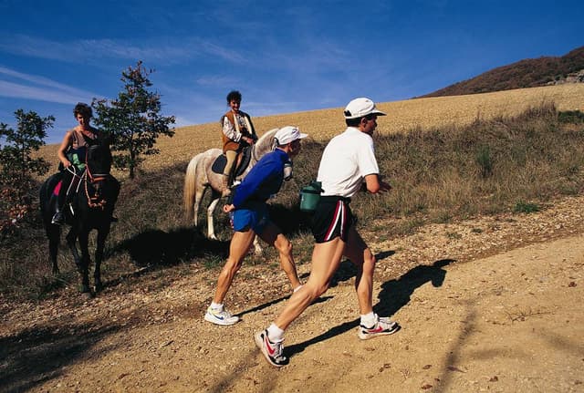 Festival des Templiers 1996