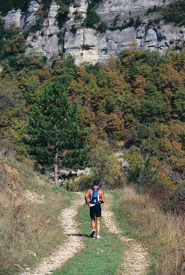 Festival des Templiers 1996
