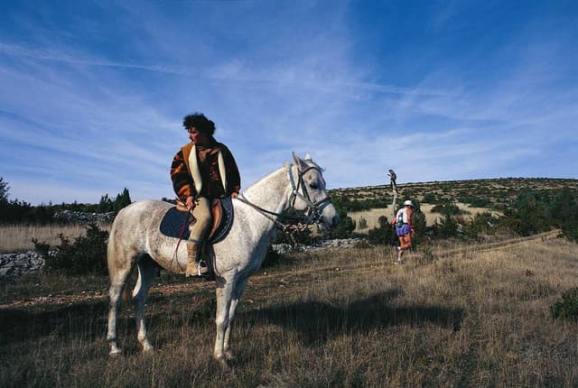 Festival des Templiers 1996