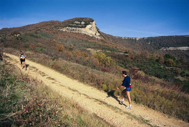 Festival des Templiers 1996