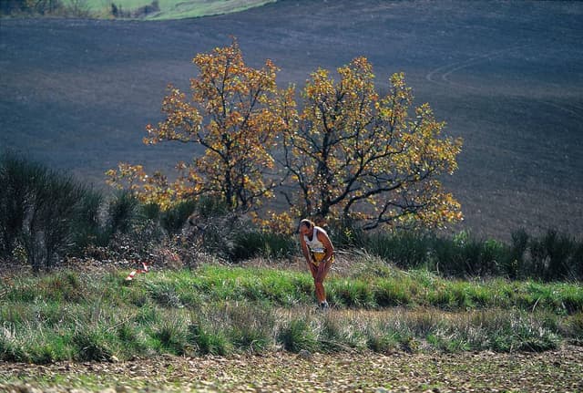 Festival des Templiers 1996