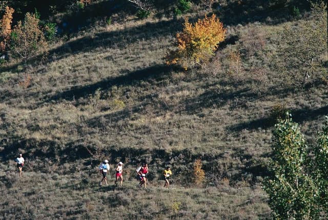 Festival des Templiers 1997