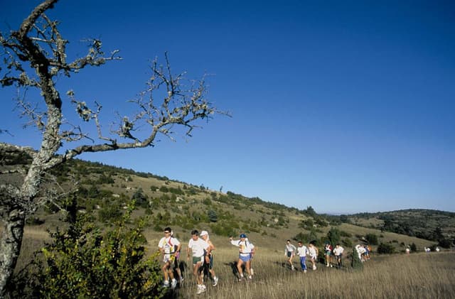 Festival des Templiers 1997