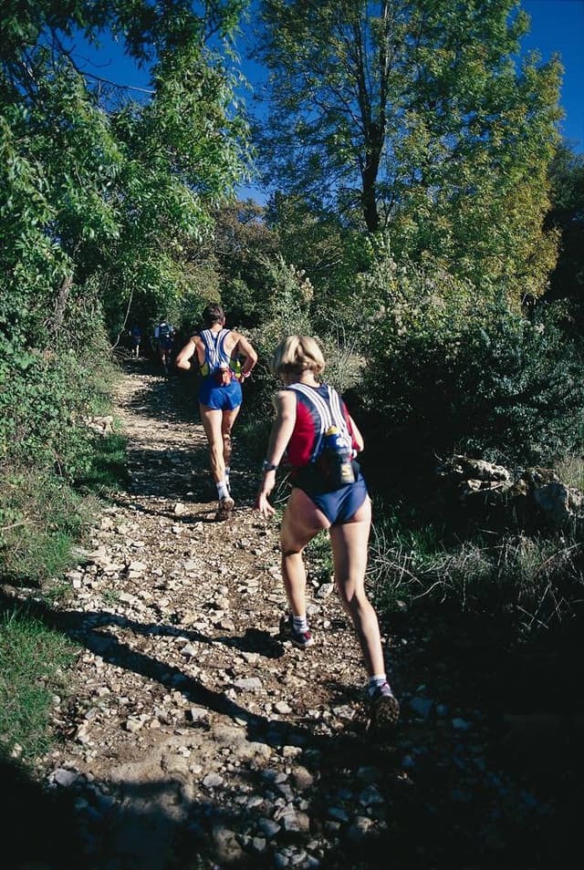 Festival des Templiers 1997