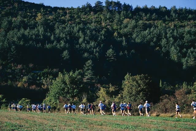 Festival des Templiers 1997