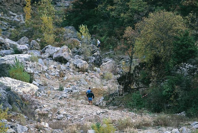 Festival des Templiers 1998