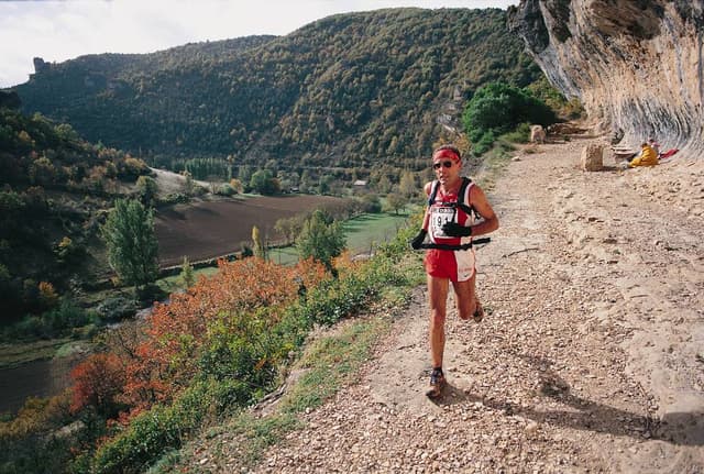 Festival des Templiers 1998