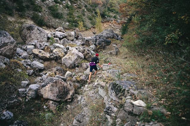 Festival des Templiers 1998
