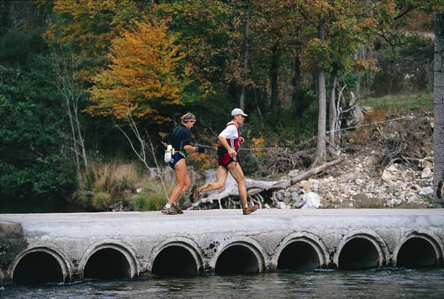 Festival des Templiers 1998