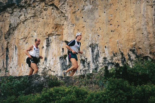 Festival des Templiers 1998