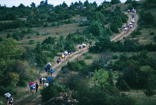 Festival des Templiers 1998