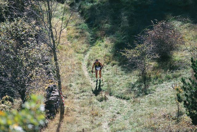 Festival des Templiers 1999