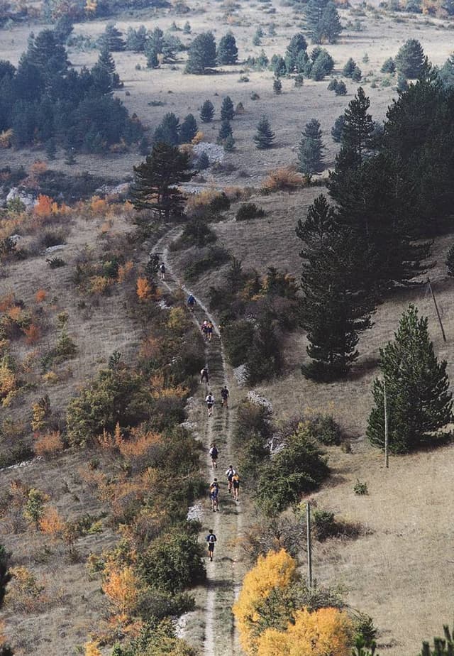 Festival des Templiers 2000