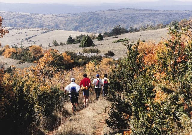 Festival des Templiers 2000